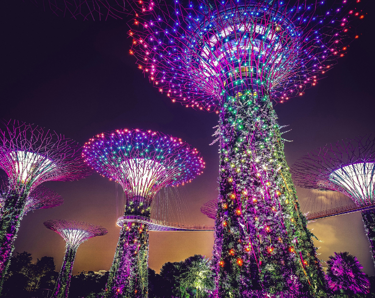 Experience Singapore and Sentosa